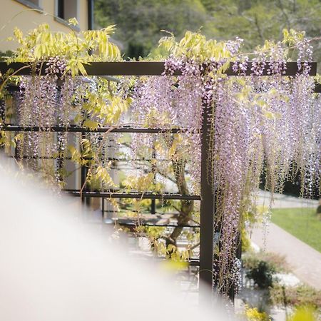 קפררולה Agriturismo La Valle Di Vico מראה חיצוני תמונה