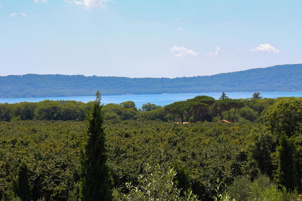 קפררולה Agriturismo La Valle Di Vico מראה חיצוני תמונה